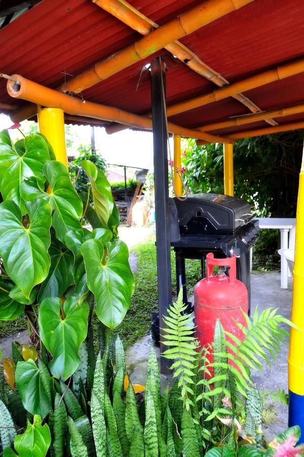 Casa Finca campesina Villa Luz Montenegro Esterno foto